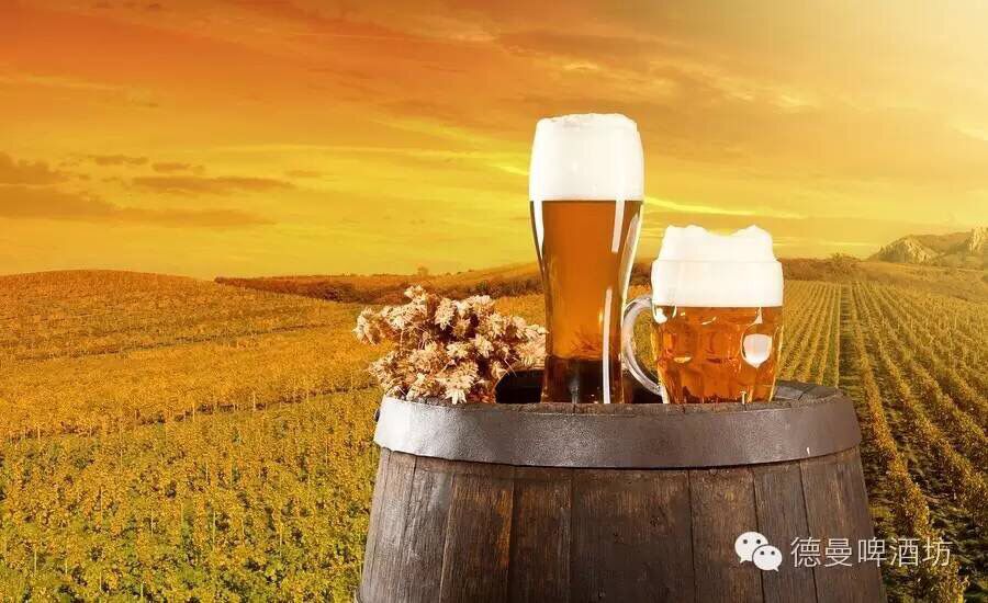 《純凈法》的后門(mén)，被譽(yù)為“貴族”的小麥啤酒的起起落落